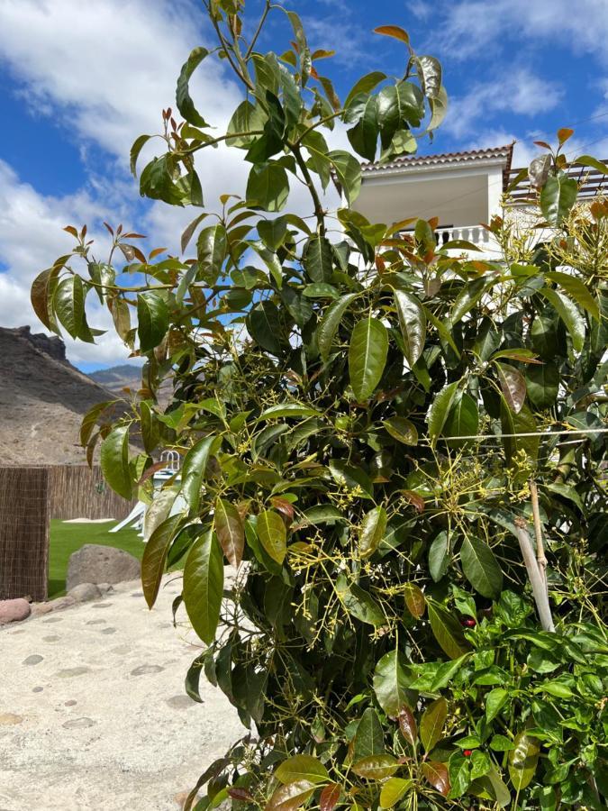 Casa Rural Con Bano Adaptado Y Piscina En โมกัน ภายนอก รูปภาพ